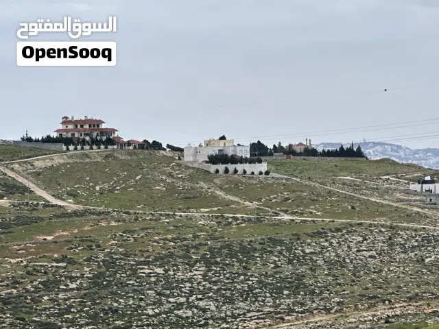 نمره مميزه ام رمانه بالقرب من شارع الاردن بسعر مميز جدا