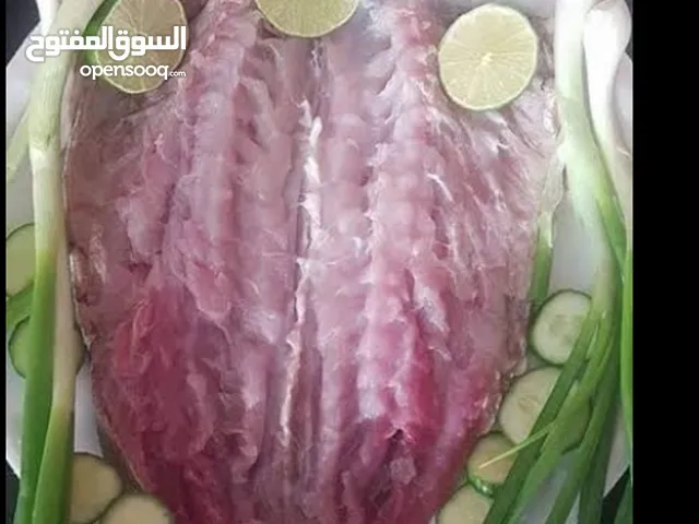 فسيخ بيتي نضيف