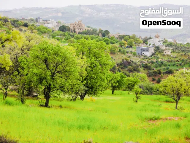 Residential Land for Sale in Amman Badr Jdedeh