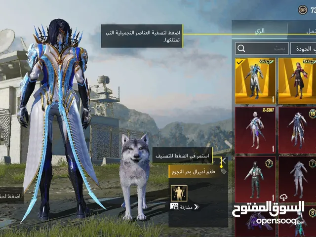 Pubg Accounts and Characters for Sale in Karbala