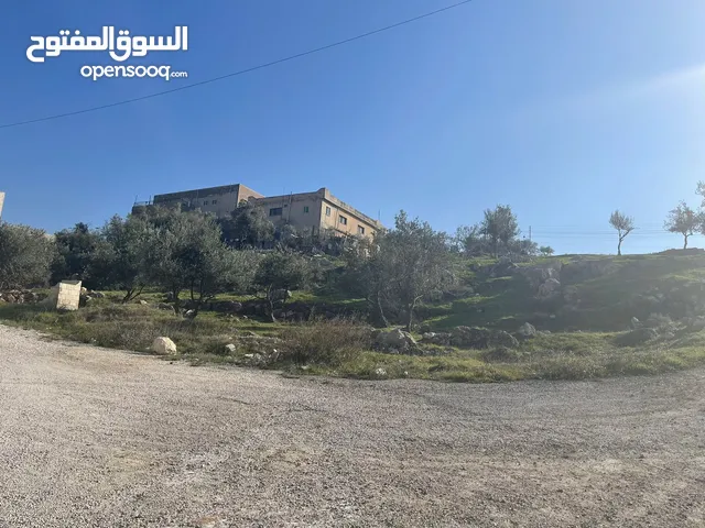 ارض للبيع ابو نصير حوض ام بطمة قريبة من مستشفى الرشيد وشارع الاردن