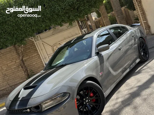 جارجر سكات باك خليجي