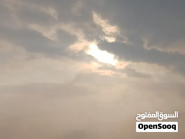 ابحث عن غرفة للايجار بالجليب