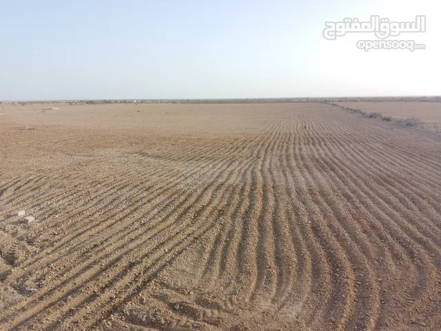 Farm Land for Sale in Zarqa Azraq