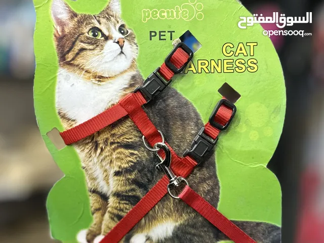 هارنس مع ليش للقطط