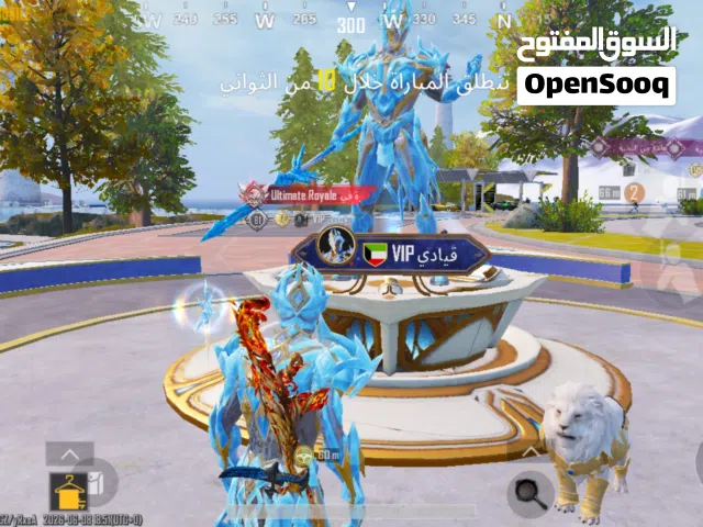 Pubg Accounts and Characters for Sale in Basra