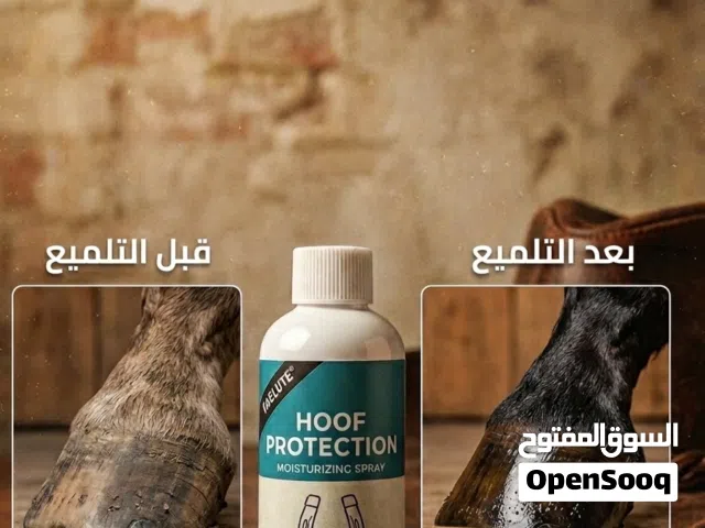 متجر cow boy store