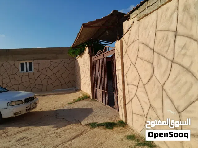 #فني (نحت على الاسمنت الابيض)
