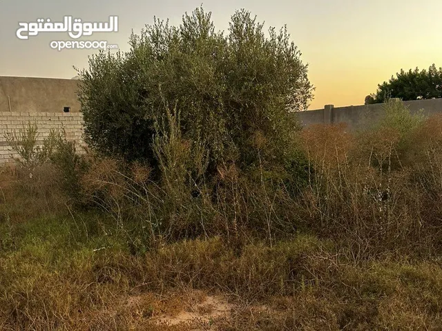 Residential Land for Sale in Misrata Tamina