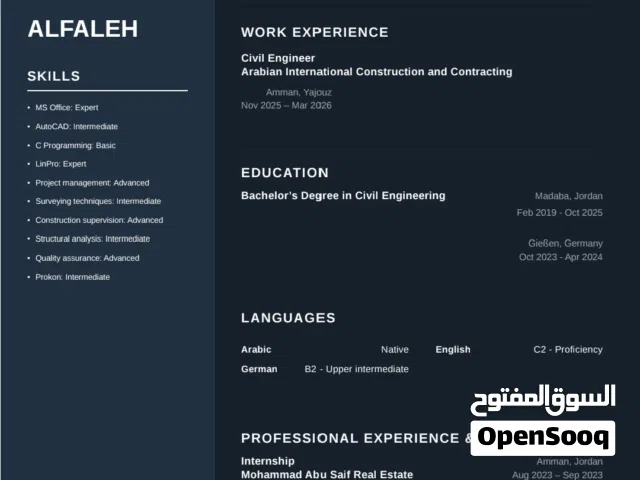 professional CV for 1JD Only