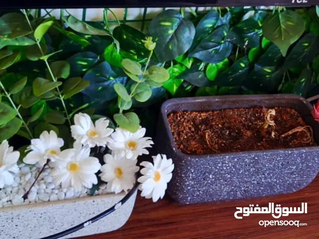 Beautiful Artificial Plants & Flowers for Sale – Indoor Decorative Sets!