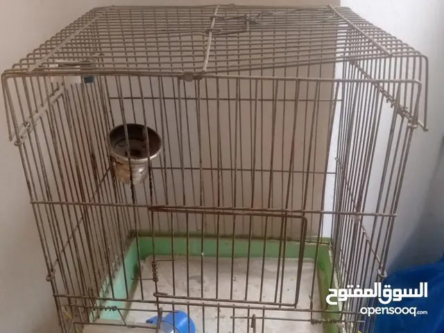 اقفاص للطيور واعشاش
