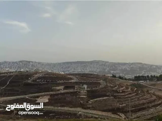 ارض للبيع في اجمل اراضي اجنسنيا اول عصيرة الشمالية اطلالة رائعة لا يمكن الاغلاق عليها