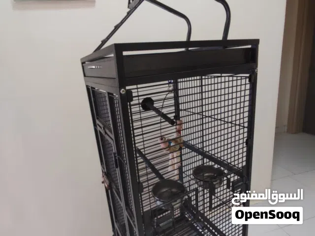 فرصه قفص يصلح للببغاوات الكبيره استحدام بسيط