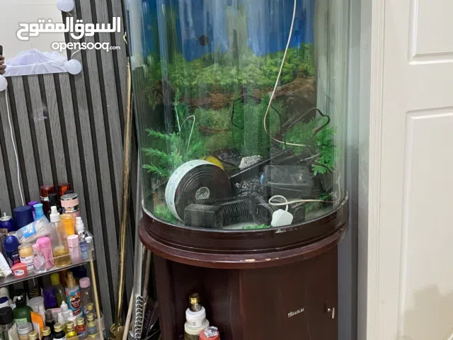 حوض سمك  نظيفة