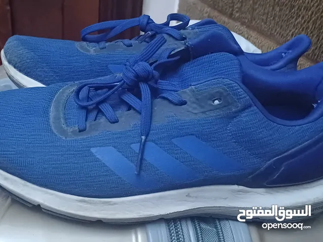 Adidas blue shoes size 42 2/3