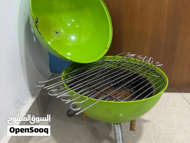 Small Charcoal Grill with 10 Piece Set Stainless Steel Skewers/Sticks for Sale