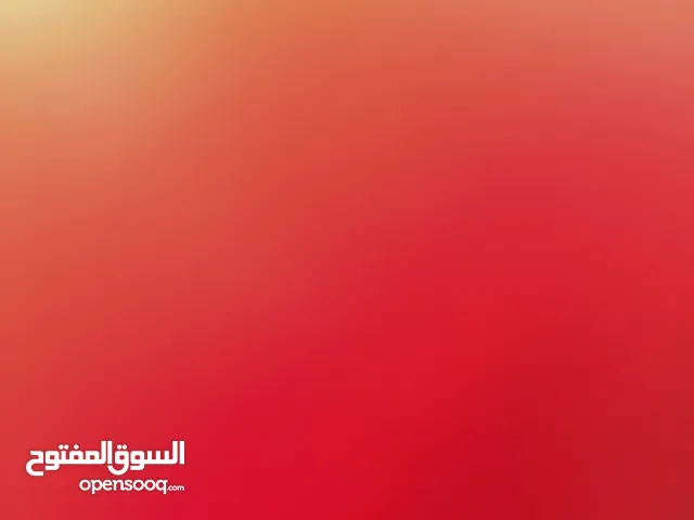 بدي سلحفاه للبيع في القدس وضواحيها