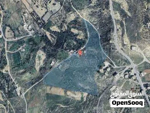 Mixed Use Land for Sale in Amman Al-Qasabat