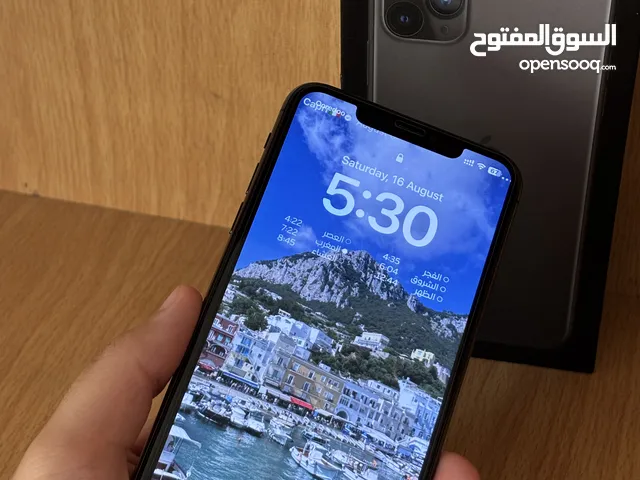 Apple iPhone 11 Pro Max 256 GB in Nablus