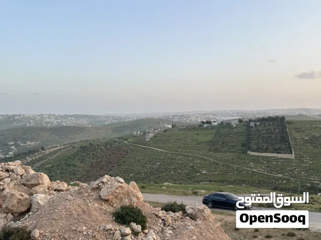 ارض للبيع افضل مناطق ام رمانه