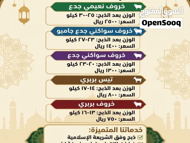 اضاحي غنم مرابي من مزرعتنا جدع سواكني نعيمي حري بربري ورفيدي وتيوس