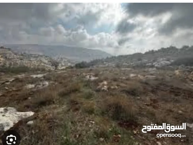 أرض لها إطلالة ساحرة .كاشفة الطيبة