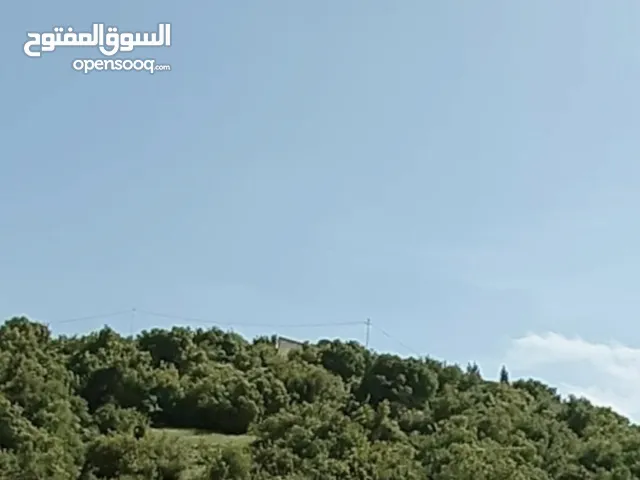 أرض مميزة للبيع في بدر الجديدة حوض الميسر من المالك مباشرة
