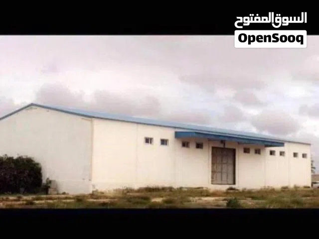 هناقر للإيجار العدد 3هناقر مساحة الواحد 1000متر المكان سيدي خليفة طريق الحنش مقابل مصنع الدقيق