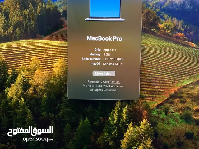 Macbook m1 pro