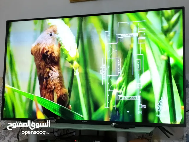 TCL LED 50 inch TV in Baghdad