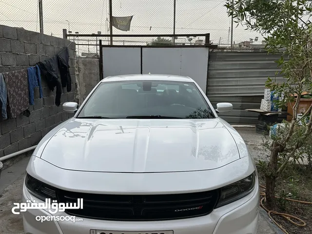 Used Dodge Charger in Baghdad