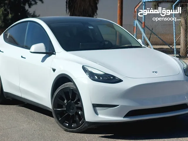 Tesla Model Y 2020 Dual Motor Long Range