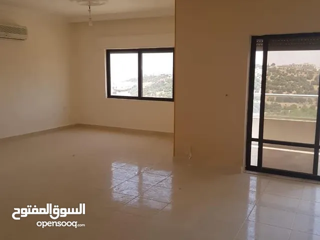 250m2 3 Bedrooms Apartments for Sale in Amman Dabouq
