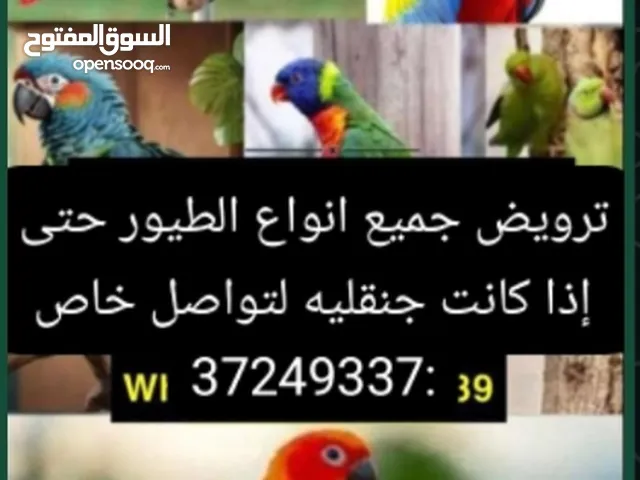 تروض الطيور