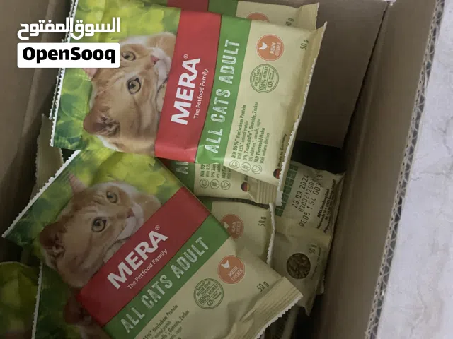 اكل قطط أليفه كارتون كامل