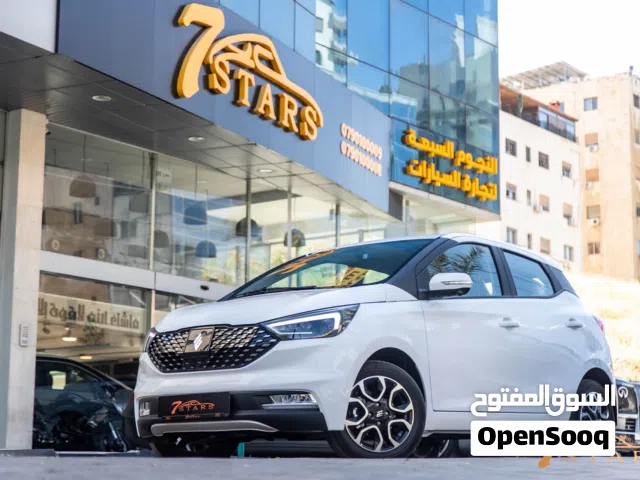 2026 جاي ام اي في EV3