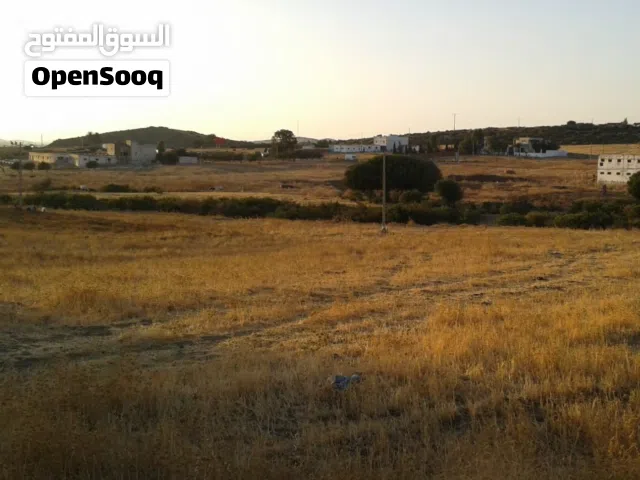 أرض محفظة بموقع استراتيجي مميز للسكن أو الاستثمار