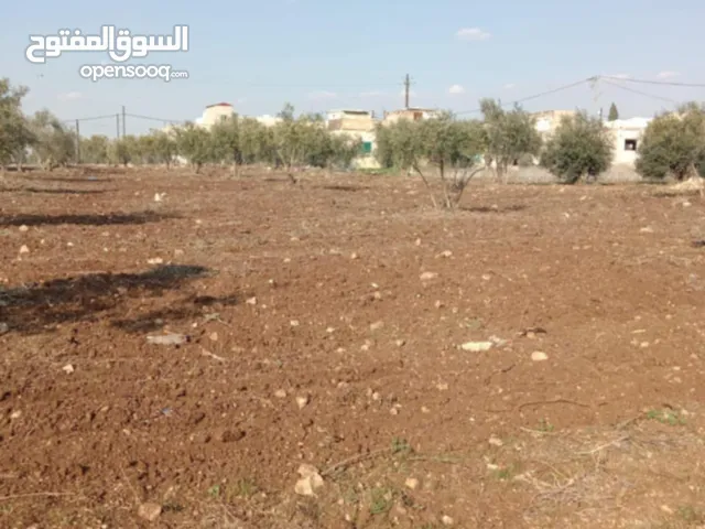 ارض للبيع بسعر مناسب جداً