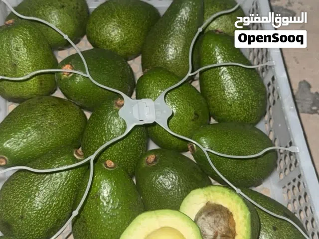 افوكادو كينيه القابيه ب110