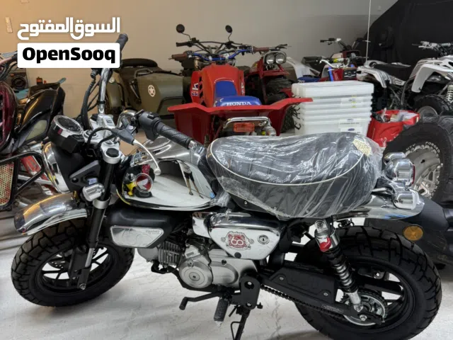 2025 هوندا أخرى