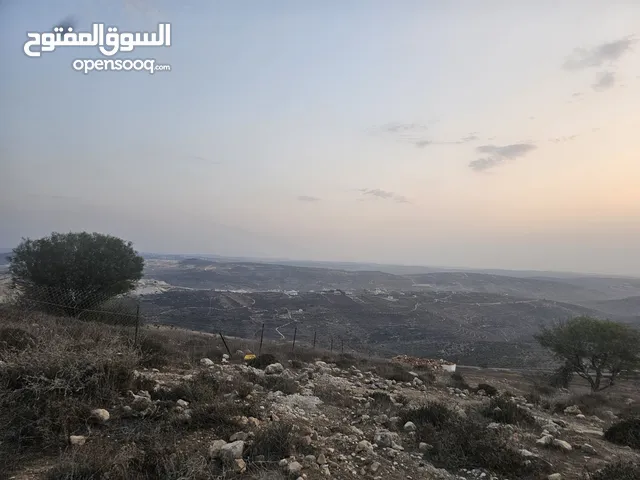 أجمل واعلى مناطق تل بئر الغزال منطقة فلل وقصور باطلالة بنوراما