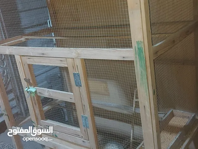 قفص طيور للبيع