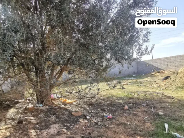 Residential Land for Sale in Tripoli Tajura