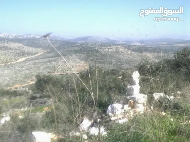 Mixed Use Land for Sale in Tulkarm Kur