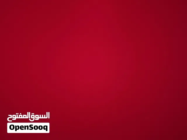 مطلوب أبقار عياله عجلات ثيران لحم جمله
