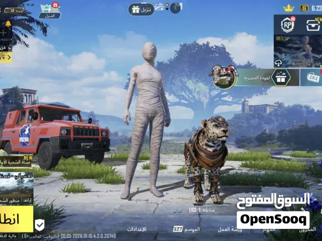 Pubg Accounts and Characters for Sale in Baghdad