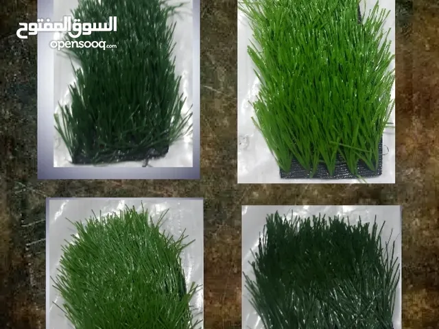 بناء عشب لمدارس و ملاعب ومنازل وحدائق