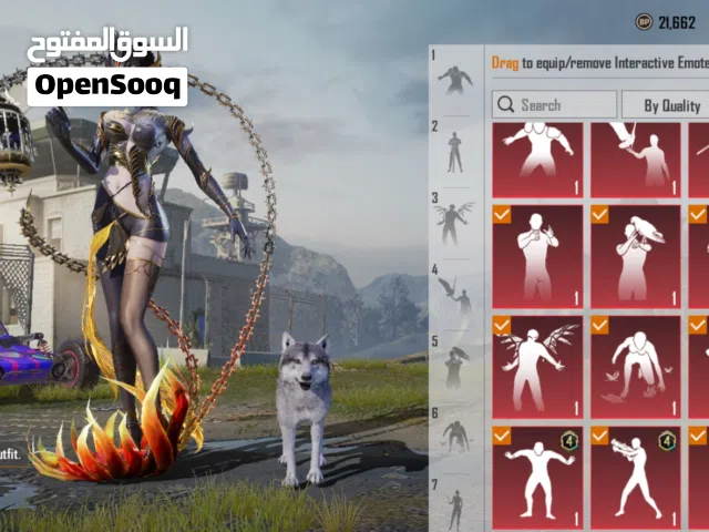 Pubg Accounts and Characters for Sale in Manama