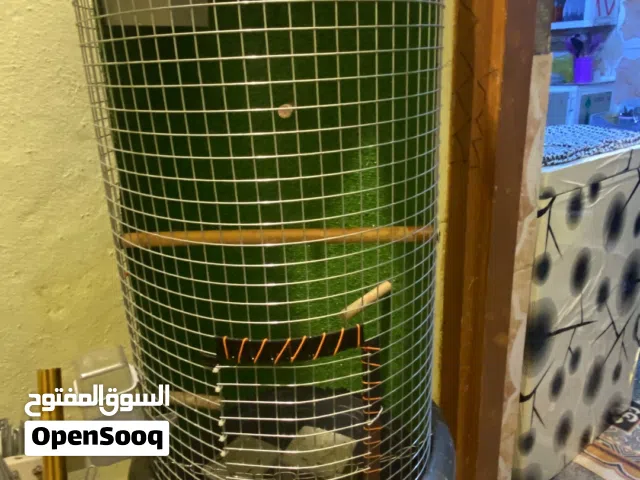 قفص سندانه يرهم لجميع طيور